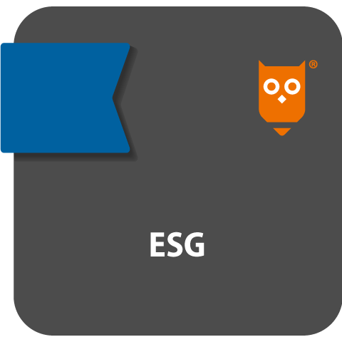 Ansicht: ESG
