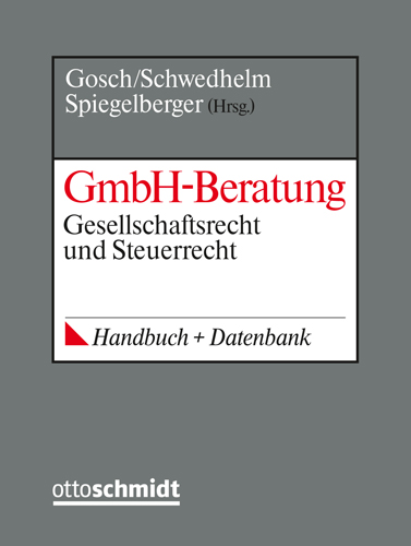 GmbH-Beratung 