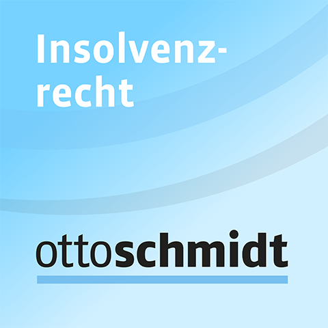 Ansicht: Insolvenzantragspflicht - 20.11.2020