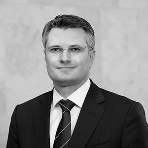 Portrait von Sven Kluge