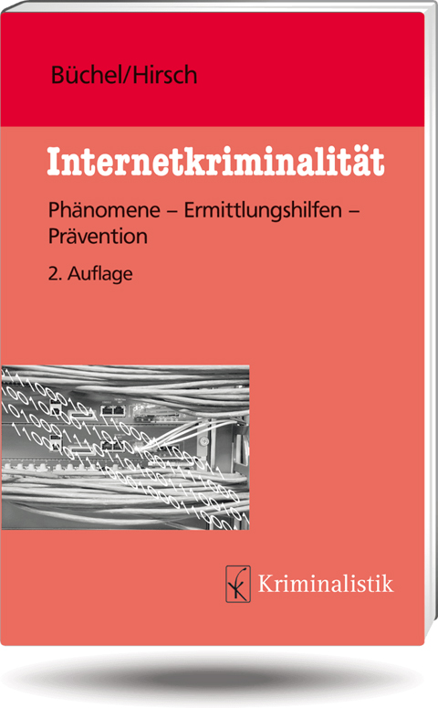 Ansicht: Internetkriminalität