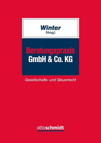 Ansicht: Beratungspraxis GmbH & Co. KG