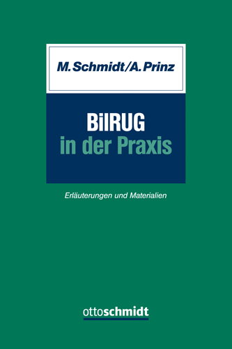 BilRUG in der Praxis